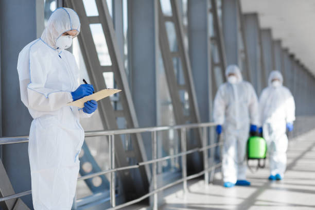 Mold Odor Removal Services in Hays, NC