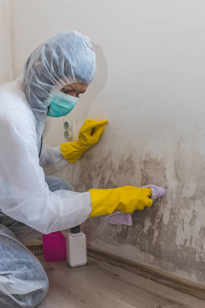 Best Forensic Mold Investigation  in Hays, NC