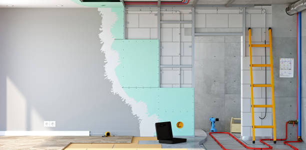 Reliable Hays, NC Mold Removal Solutions